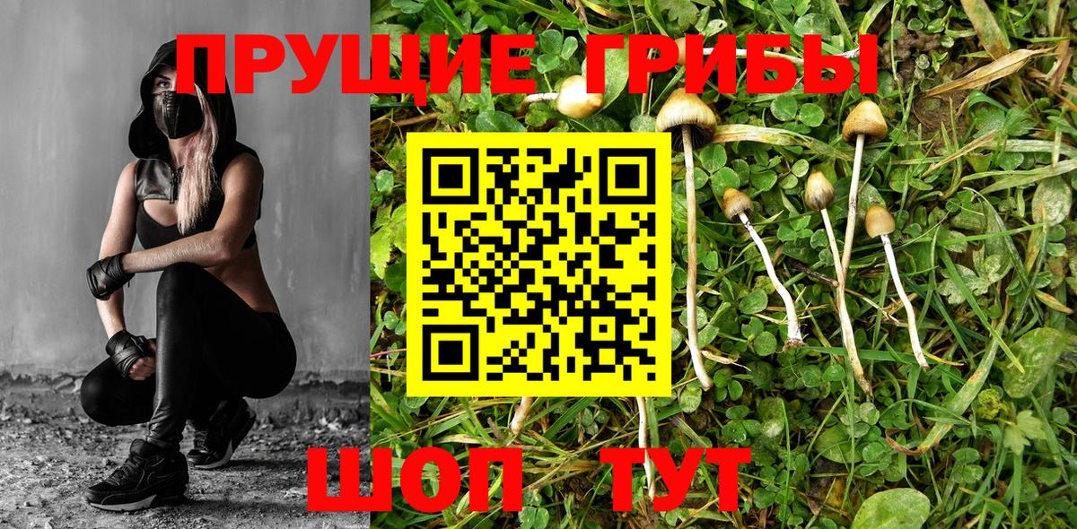 Псилоцибиновые грибы ЛСД  Вход с VPN  Галлюциногенные грибы MAGIC MUSHROOMS  Россошь 