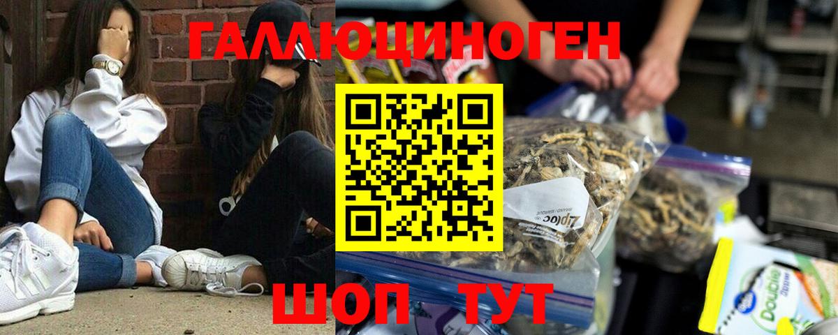 Псилоцибиновые грибы прущие грибы Россошь